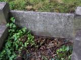 image of grave number 341741
